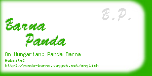 barna panda business card